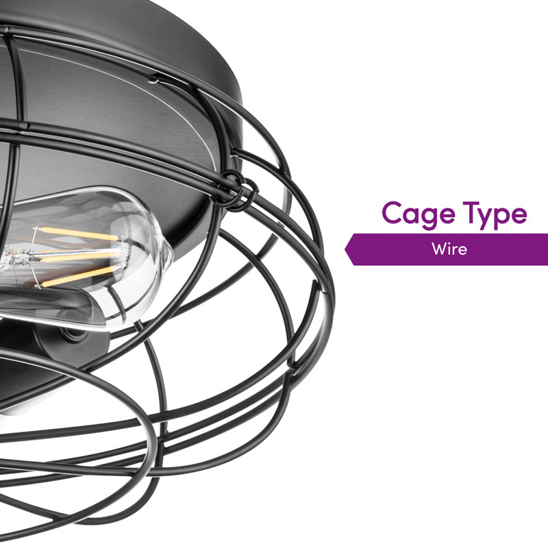 17 Stories Edgeley Matte Black Industrial Flush Mount Light with Cage